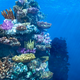 Illustration for article titled This stunning underwater scene is made of wax, jelly beans, and toothpaste